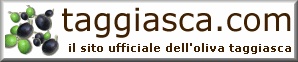 banner taggiasca.com